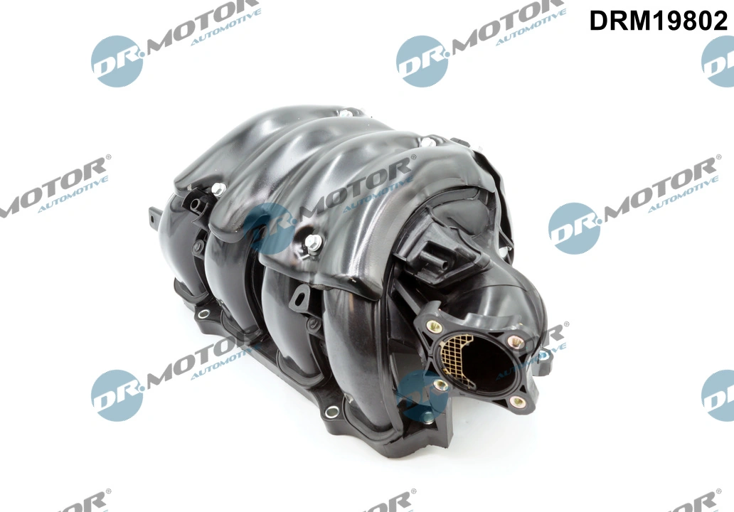 Intake Manifold Module